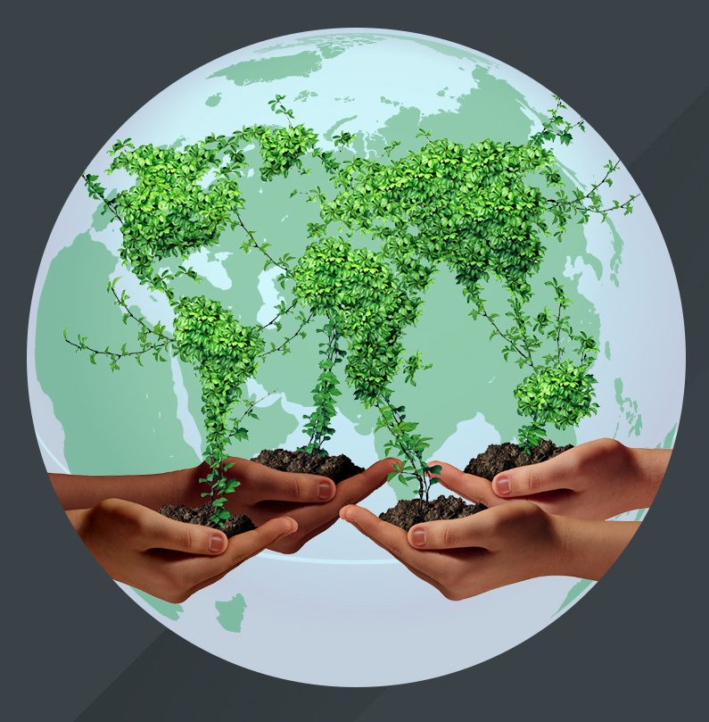 Mekins global exports visual showing green world map made of plants held by human hands
